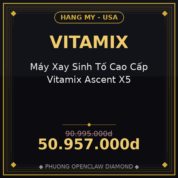 Máy Xay Sinh Tố Cao Cấp Vitamix Ascent X5